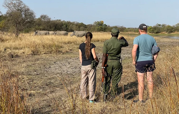 Rhino tracking - Zimbabwe