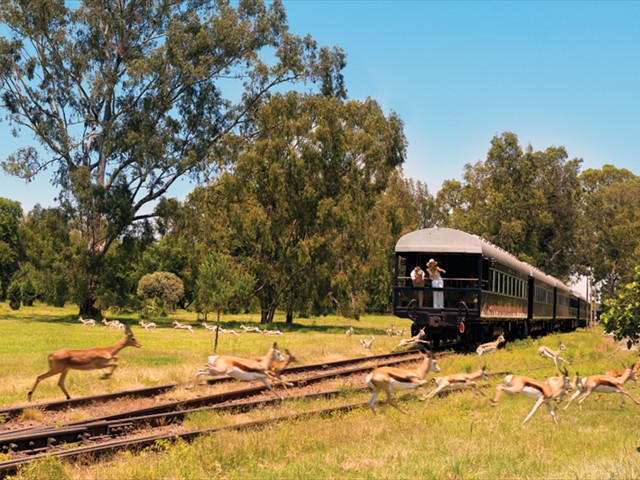 Rovos Rail train trip through the African wilderness - Pretoria to Victoria Falls Zimbabwe