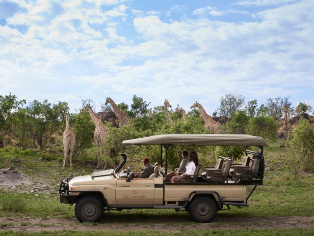 Savute Elephant Camp game drive Savute Elephant Camp game drive in the Savute area of Chobe National Park, Botswana
