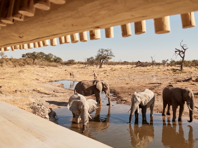The hide The hide at Savute Elephant Camp in Chobe National Park, Botswana