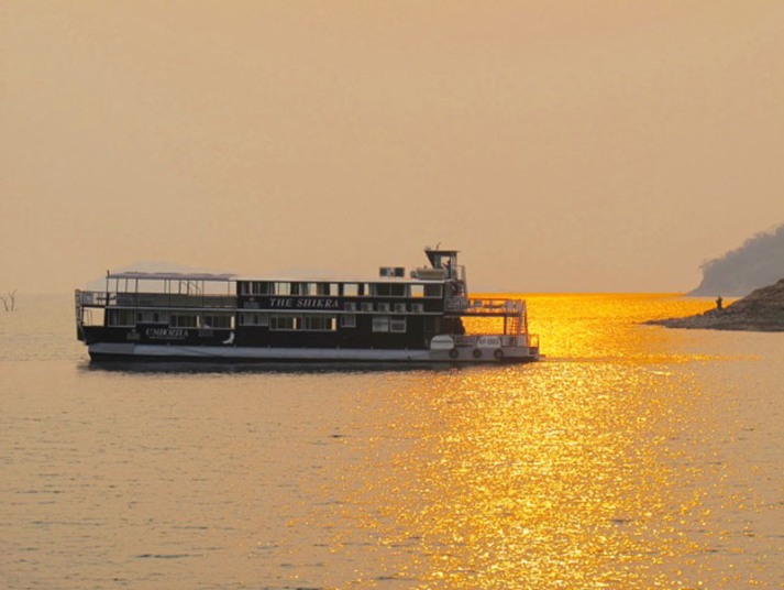 The Shikra at Sunset