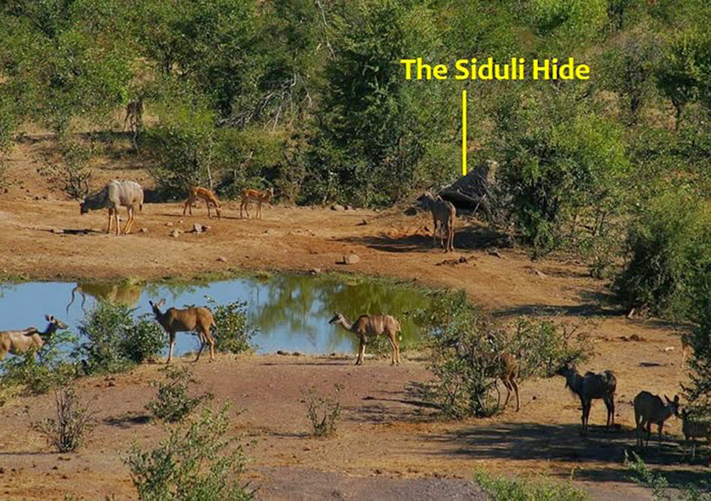 The location of the Siduli Hide at Victoria Falls Safari Lodge