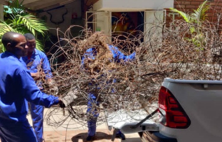 Snare wire collected by anti-poaching teams now being used to teach local communties to make jewellery