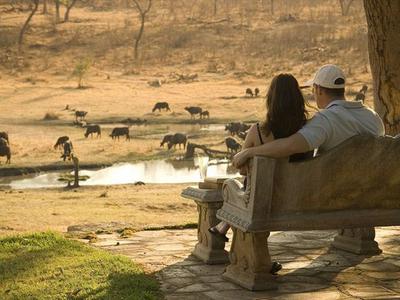 Watching waterhole traffic
