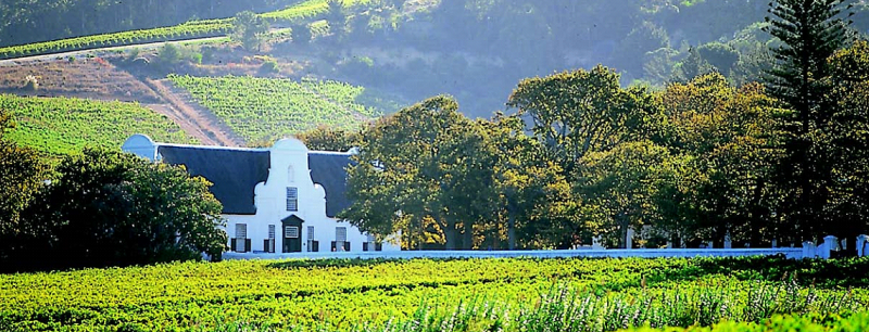 Farmhouse in Stellenbosch