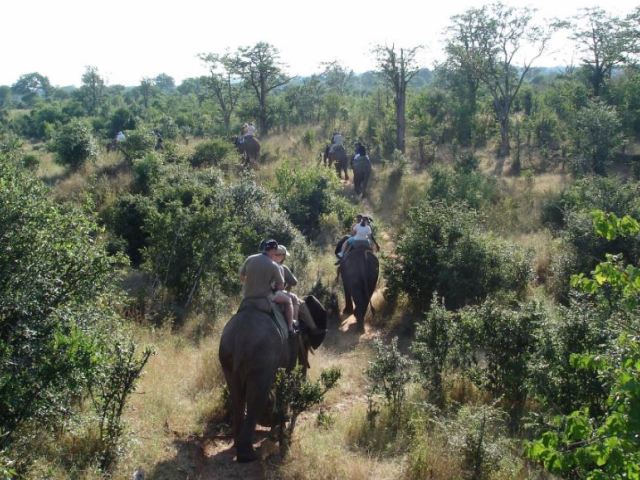 Discontinued Elephant Back Safaris in Victoria Falls
