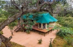 Lower level family tent