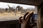 With amazing sightings