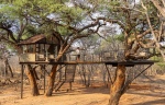 Canopy-level treehouse accommodation