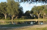 With waterhole in front