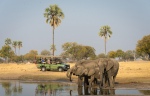 Activities at Davison's Camp include game drives