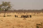 With views of the waterhole
