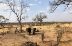 Any views of the waterhole