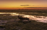 With sundowners by the Chobe River