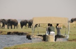 Chobe River cruises