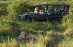 Game drives