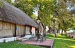 Tents under thatch