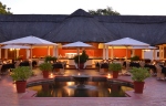 Jungle Junction dining