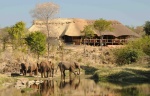 Elephants come through here