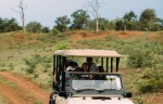 Game drives are included