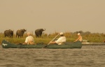Perfect for canoe safaris