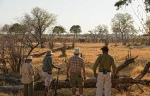 ...as are guided walks and game drives