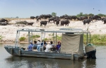 So is game viewing on the Chobe River