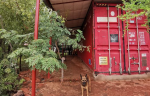 Property for sale - Victoria Falls