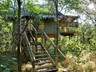 And tree-top chalets