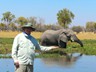 Optional walking safaris