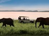 Game drives