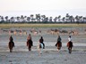 Horse safari in Makgadikgadi