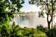 Lush Victoria Falls Rainforest, Zimbabwe