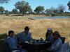 Lunching with Elephants