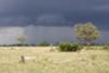 Storms over Hwange