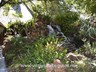 The water feature at the reception area