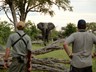 Game walking at Camelthorn