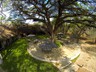 Al fresco dining area by the main lodge