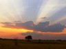 Magnificent sunset at Camp Hwange