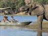 ...and boat cruises on the Chobe River