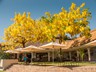 The terrace at Ilala Lodge