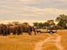...game drives