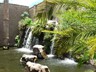 Beautiful water features at Kindgom Hotel