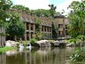 View of the pond and rooms entrance