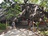 The thatched dining area in the garden