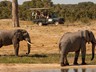 Activities include game drives