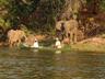 ...canoeing