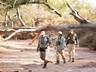 Walking safaris