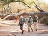 Walking safaris