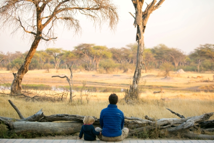 Watch the waterhole traffic